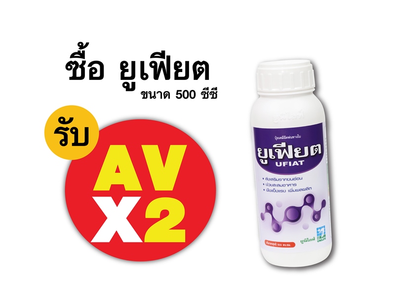 PRO.ซื้อยูเฟียต(500 ซีซี) AV คูณ 2