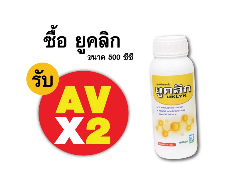 PRO.ซื้อยูคลิก(500 ซีซี) AV คูณ 2