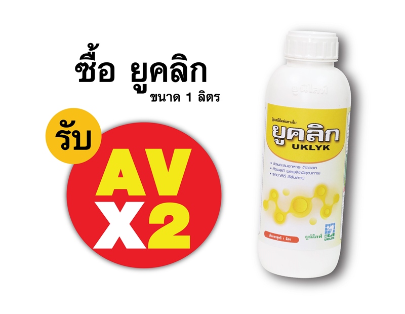 PRO.ซื้อยูคลิก(1 ลิตร) AV คูณ 2