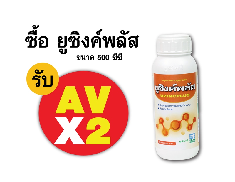 PRO.ซื้อยูซิงค์พลัส(500 ซีซี) AV คูณ 2