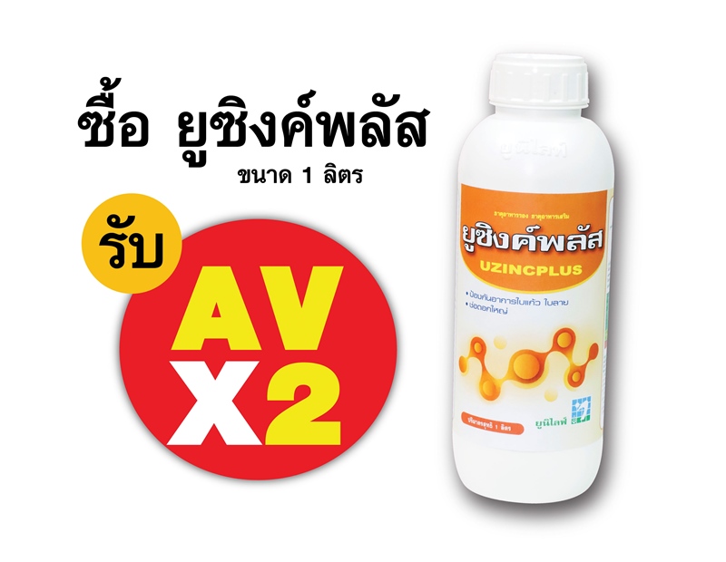 PRO.ซื้อยูซิงค์พลัส(1 ลิตร) AV คูณ 2