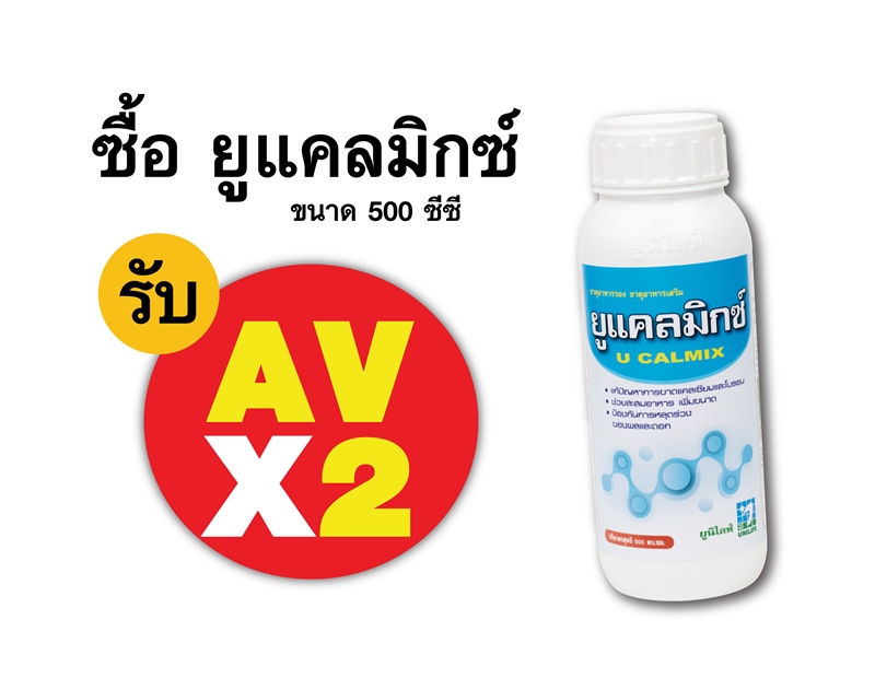 PRO.ซื้อยูแคลมิกซ์(500 ซีซี) AV คูณ 2